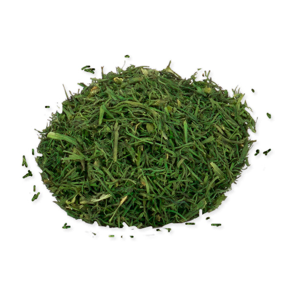 荷蘭刁草 (10G)