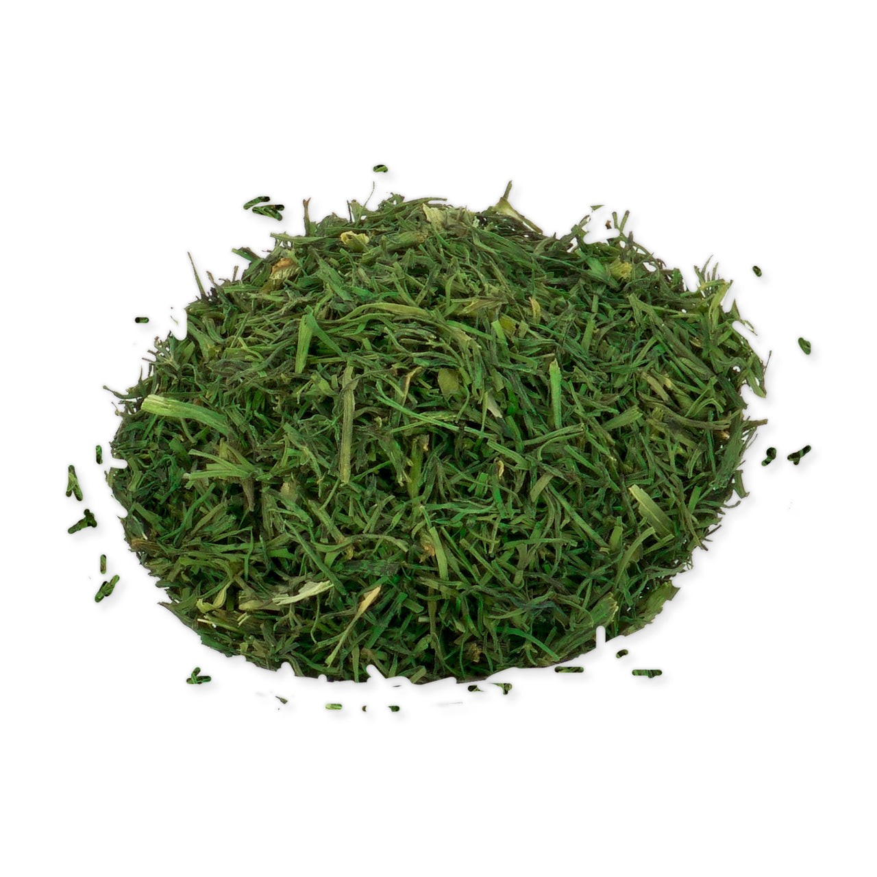 荷蘭刁草 (10G)